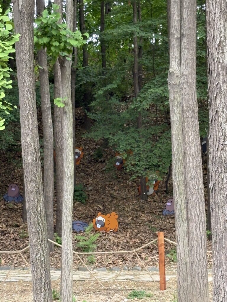 ポケモン Secret Forest会場の森の中にビッパなどのポケモンパネルが点在する屋外展示エリア 聖水イベント