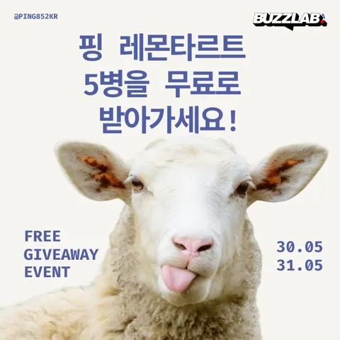 PING KOREA レモンタルト 無料配布イベント 弘大 ポップアップストア